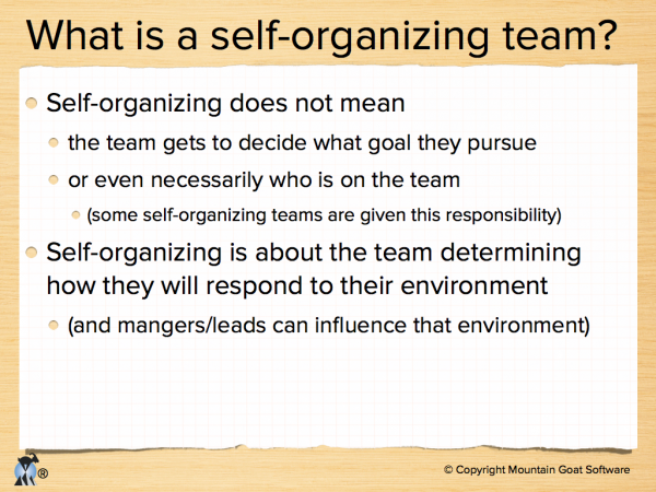 Leading a Self-Organizing Team