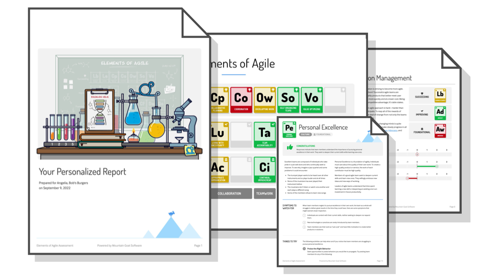 Get Your Customized Elements of Agile℠ Assessment